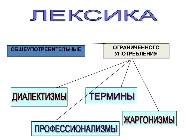 ЛЕКСИКА ОБЩЕУПОТРЕБИТЕЛЬНЫЕ ОГРАНИЧЕННОГО УПОТРЕБЛЕНИЯ ДИАЛЕКТИЗМЫ ПРОФЕССИОНАЛИЗМЫ ТЕРМИНЫ ЖАРГОНИЗМЫ