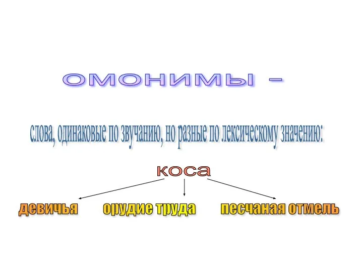 омонимы - слова, одинаковые по звучанию, но разные по лексическому значению: