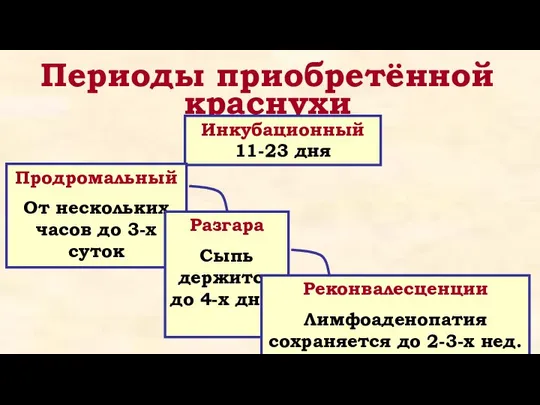 Периоды приобретённой краснухи Инкубационный 11-23 дня Продромальный От нескольких часов до