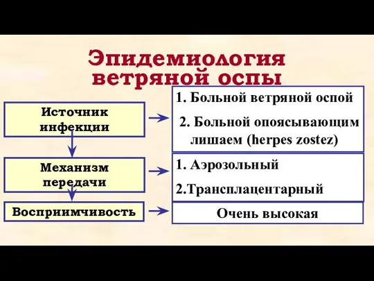 Эпидемиология ветряной оспы Источник инфекции Механизм передачи Восприимчивость 1. Больной ветряной