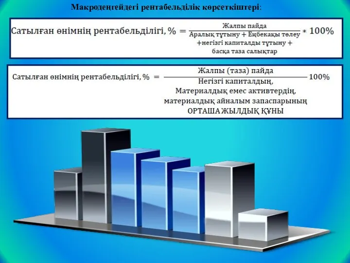 Макродеңгейдегі рентабельділік көрсеткіштері: