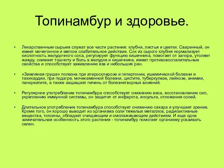 Топинамбур и здоровье. Лекарственным сырьем служат все части растения: клубни, листья