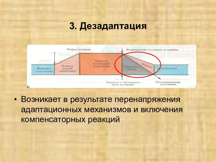 3. Дезадаптация Возникает в результате перенапряжения адаптационных механизмов и включения компенсаторных реакций