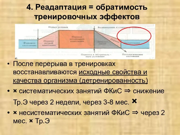 4. Реадаптация = обратимость тренировочных эффектов После перерыва в тренировках восстанавливаются