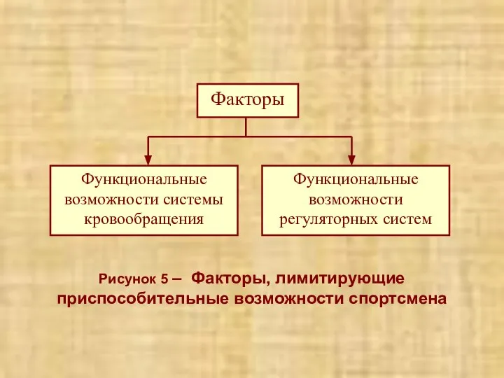 Рисунок 5 – Факторы, лимитирующие приспособительные возможности спортсмена