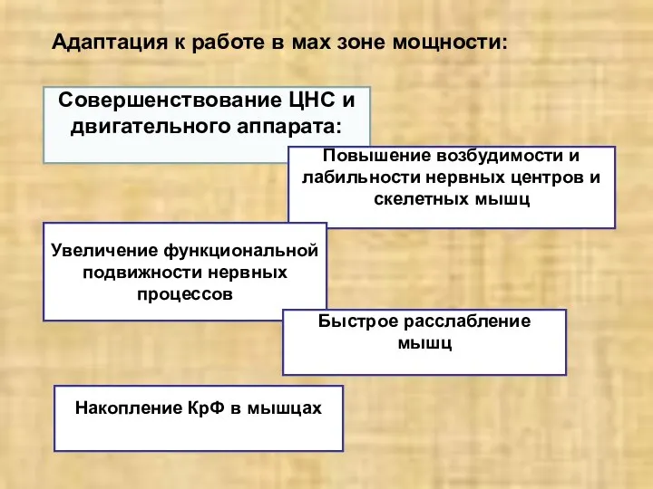 Адаптация к работе в мах зоне мощности: Совершенствование ЦНС и двигательного