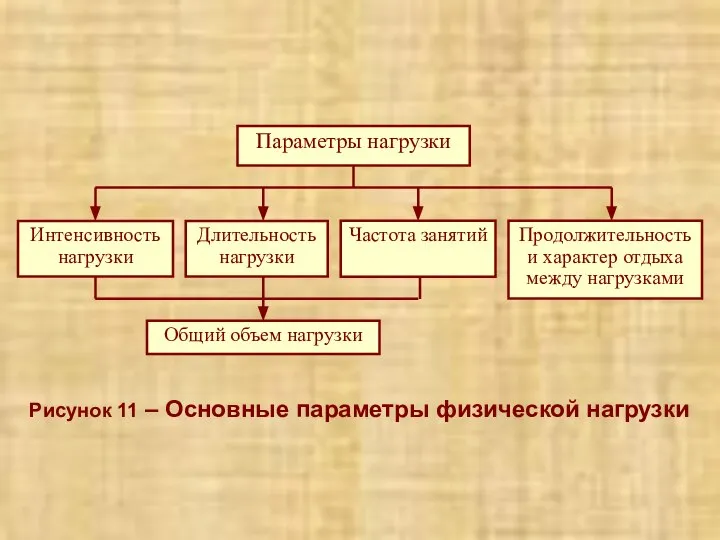 Рисунок 11 – Основные параметры физической нагрузки