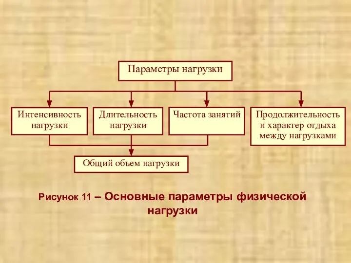 Рисунок 11 – Основные параметры физической нагрузки