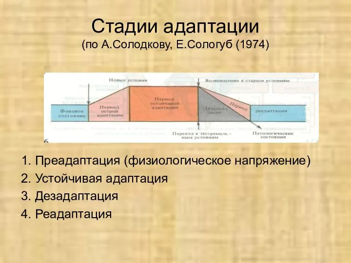 Стадии адаптации (по А.Солодкову, Е.Сологуб (1974) 1. Преадаптация (физиологическое напряжение) 2.