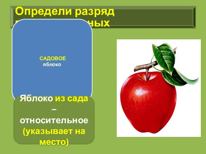 Определи разряд прилагательных САДОВОЕ яблоко Яблоко из сада – относительное (указывает на место)