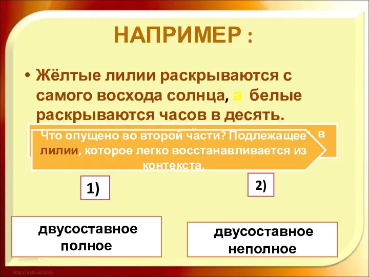 НАПРИМЕР : Жёлтые лилии раскрываются с самого восхода солнца, а белые