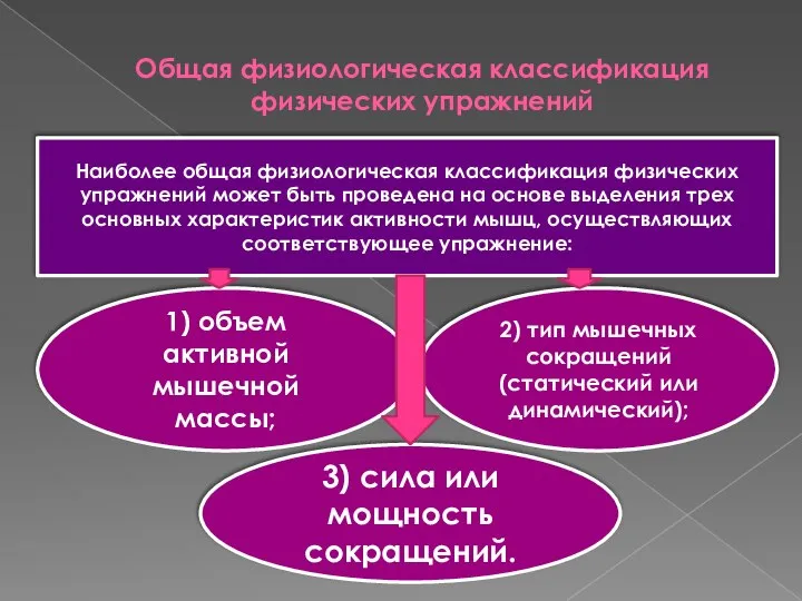 Общая физиологическая классификация физических упражнений Наиболее общая физиологическая классификация физических упражнений