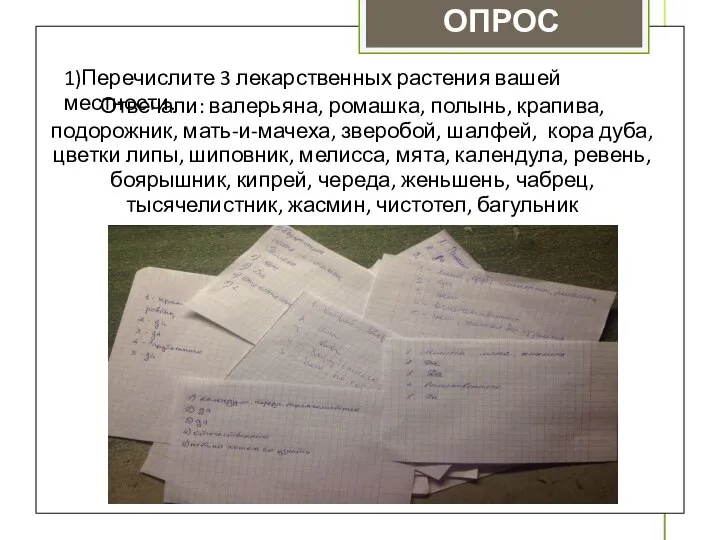 ОПРОС 1)Перечислите 3 лекарственных растения вашей местности. Отвечали: валерьяна, ромашка, полынь,