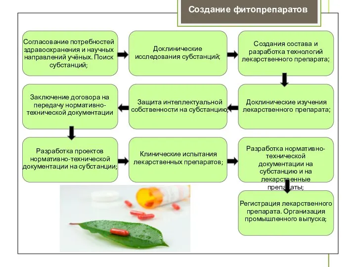 Создание фитопрепаратов Согласование потребностей здравоохранения и научных направлений учёных. Поиск субстанций;