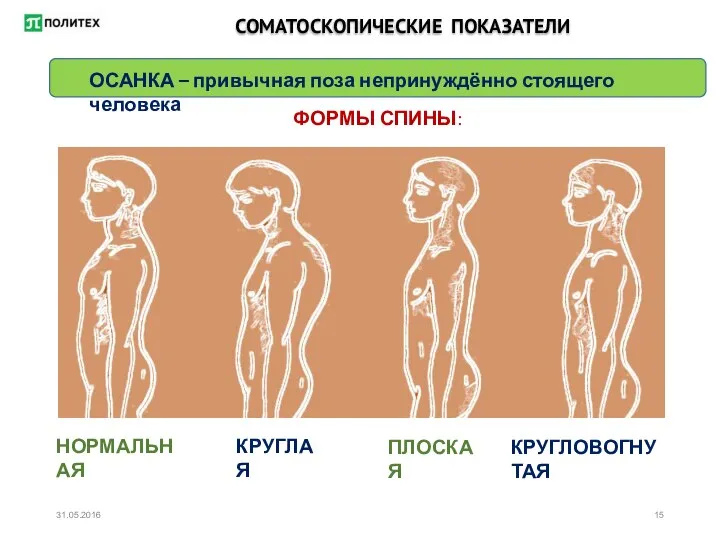 СОМАТОСКОПИЧЕСКИЕ ПОКАЗАТЕЛИ ОСАНКА – привычная поза непринуждённо стоящего человека ФОРМЫ СПИНЫ: НОРМАЛЬНАЯ КРУГЛАЯ ПЛОСКАЯ КРУГЛОВОГНУТАЯ 31.05.2016