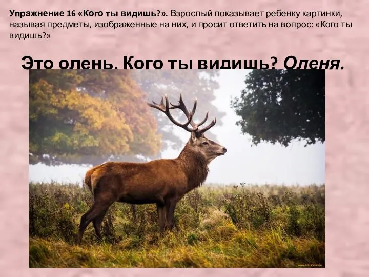 Упражнение 16 «Кого ты видишь?». Взрослый показывает ребенку картинки, называя предметы,