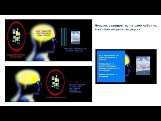 Человек реагирует не на само событие, а на свою «модель ситуации»