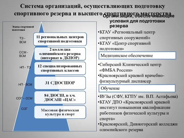 Система организаций, осуществляющих подготовку спортивного резерва и высшего спортивного мастерства Организации,