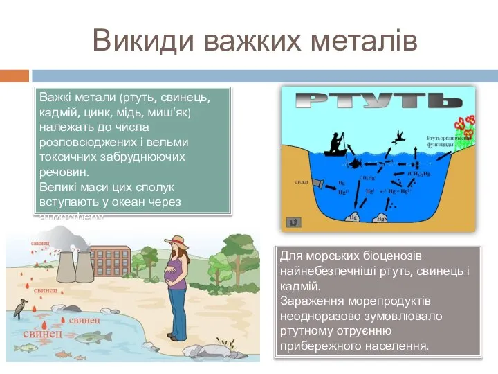 Важкі метали (ртуть, свинець, кадмій, цинк, мідь, миш'як) належать до числа