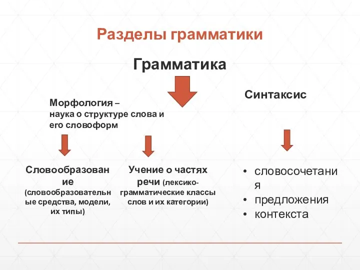 Разделы грамматики