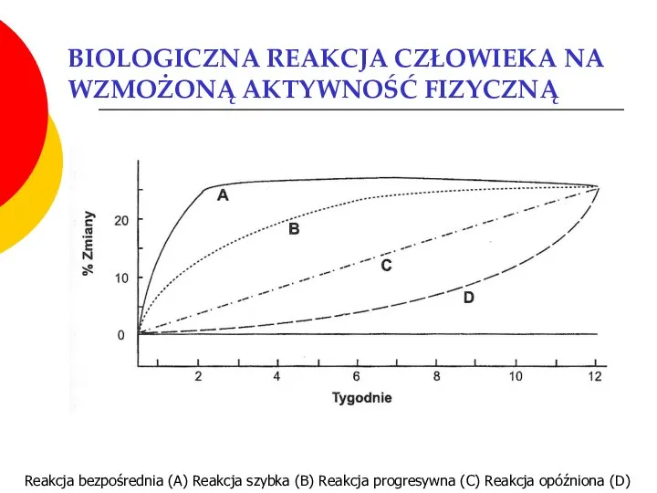 BIOLOGICZNA REAKCJA CZŁOWIEKA NA WZMOŻONĄ AKTYWNOŚĆ FIZYCZNĄ Reakcja bezpośrednia (A) Reakcja