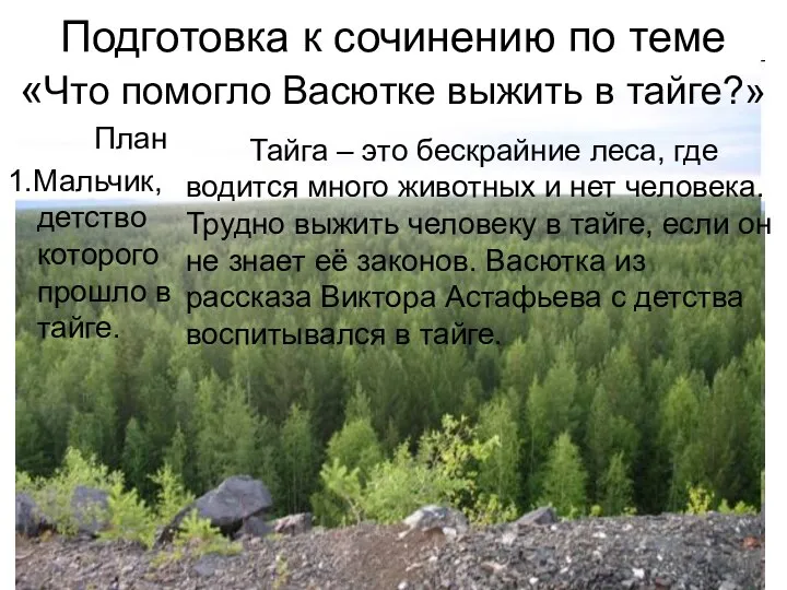 Подготовка к сочинению по теме «Что помогло Васютке выжить в тайге?»