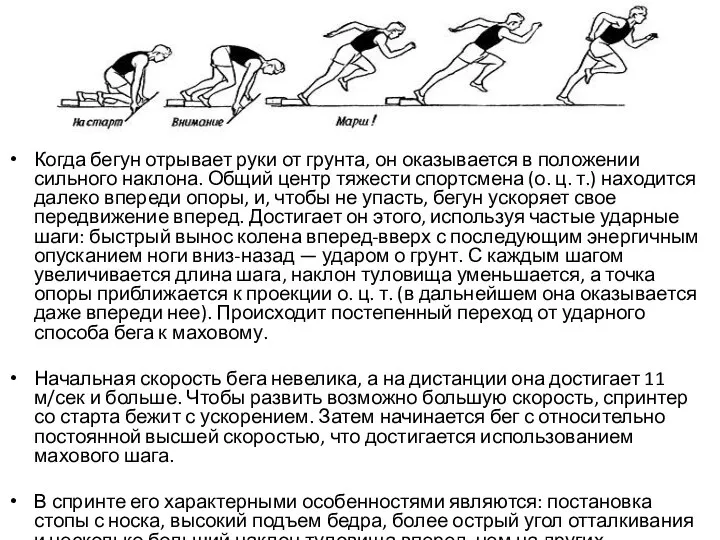 Когда бегун отрывает руки от грунта, он оказывается в положении сильного