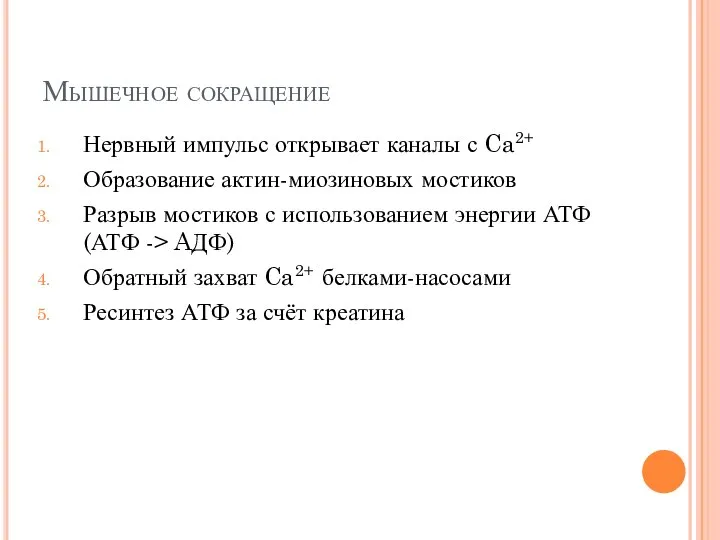 Мышечное сокращение Нервный импульс открывает каналы с Ca2+ Образование актин-миозиновых мостиков