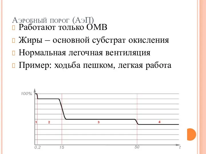 Аэробный порог (АэП) Работают только ОМВ Жиры – основной субстрат окисления