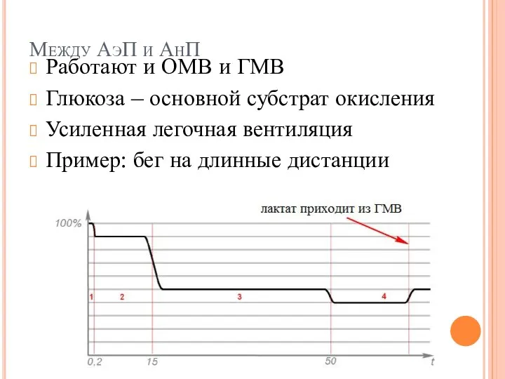 Между АэП и АнП Работают и ОМВ и ГМВ Глюкоза –