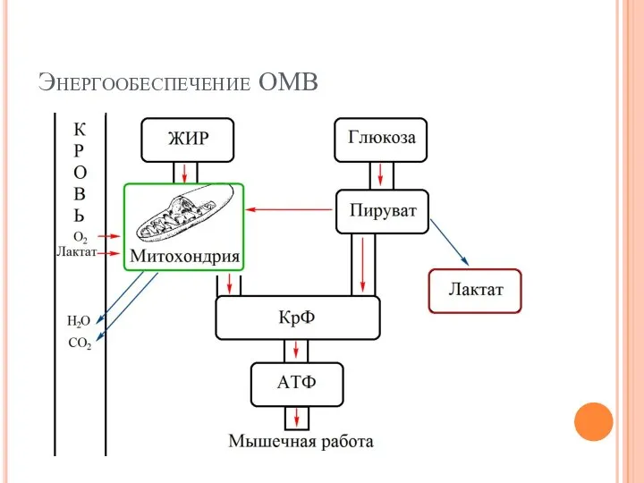 Энергообеспечение ОМВ