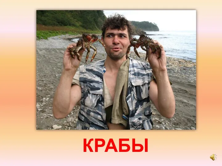 КРАБЫ