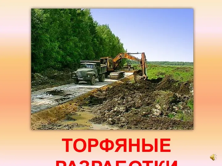 ТОРФЯНЫЕ РАЗРАБОТКИ