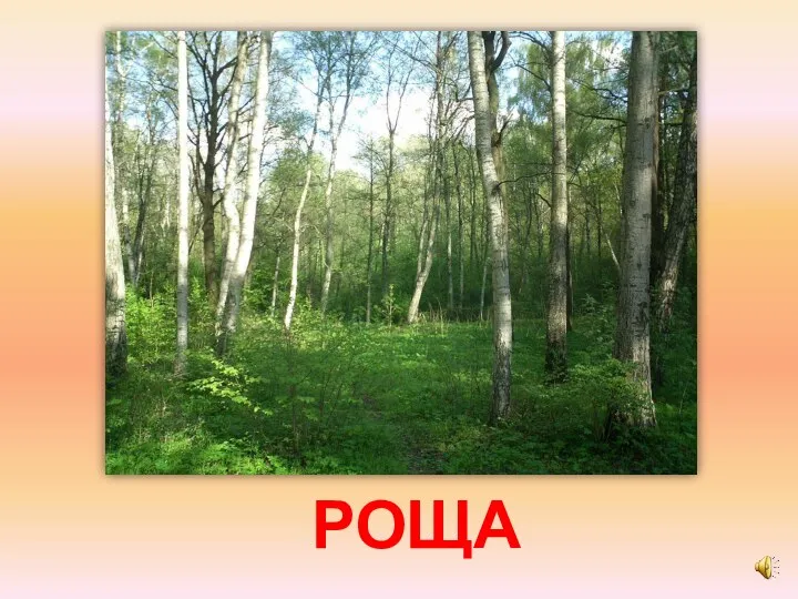 РОЩА