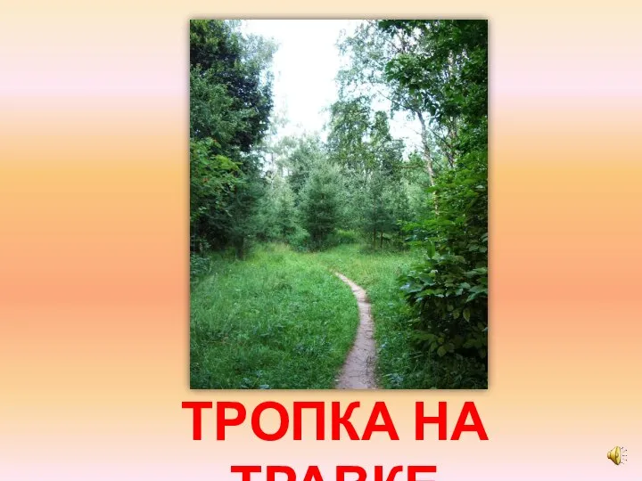 ТРОПКА НА ТРАВКЕ