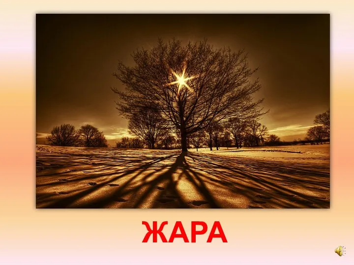 ЖАРА