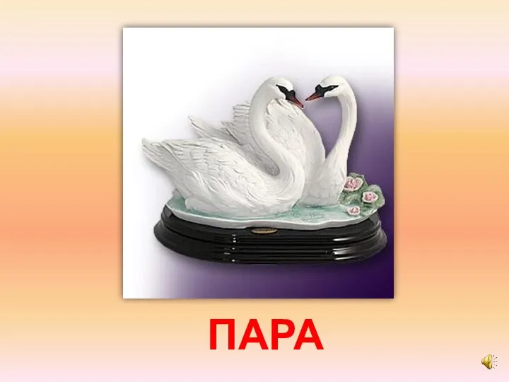 ПАРА