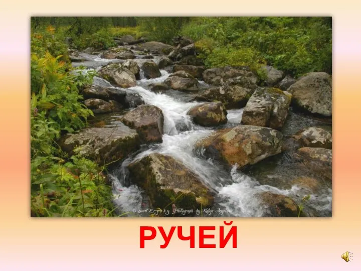 РУЧЕЙ