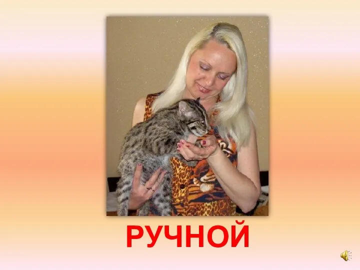 РУЧНОЙ