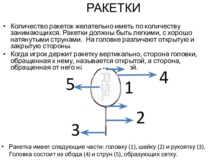 РАКЕТКИ Количество ракеток желательно иметь по количеству занимающихся. Ракетки должны быть