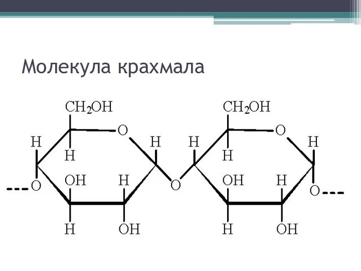 Молекула крахмала