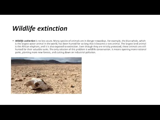 Wildlife extinction Wildlife extinction is no less acute. Many species of