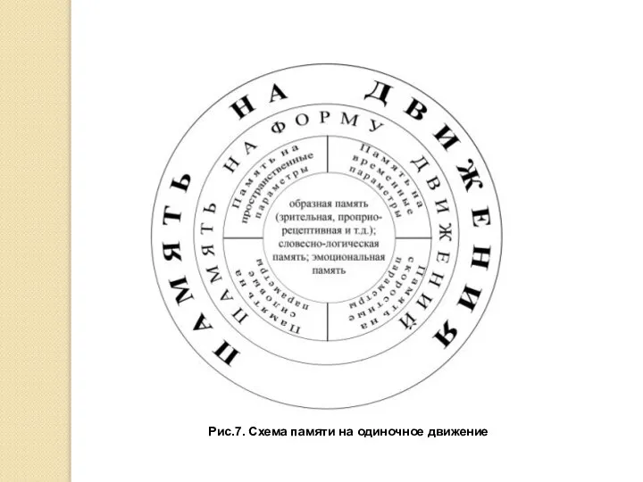 Рис.7. Схема памяти на одиночное движение