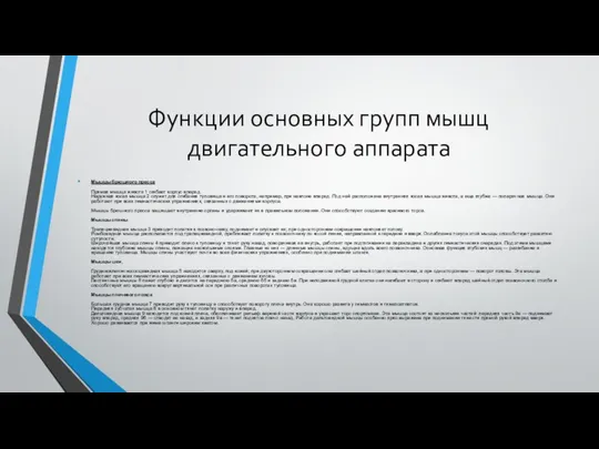 Функции основных групп мышц двигательного аппарата Мышцы брюшного пресса Прямая мышца