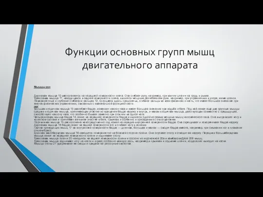 Функции основных групп мышц двигательного аппарата Мышцы рук Двуглавая мышца 10