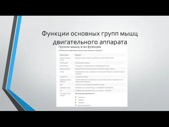 Функции основных групп мышц двигательного аппарата