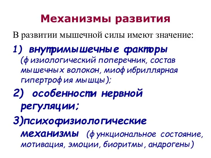 Механизмы развития В развитии мышечной силы имеют значение: 1) внутримышечные факторы