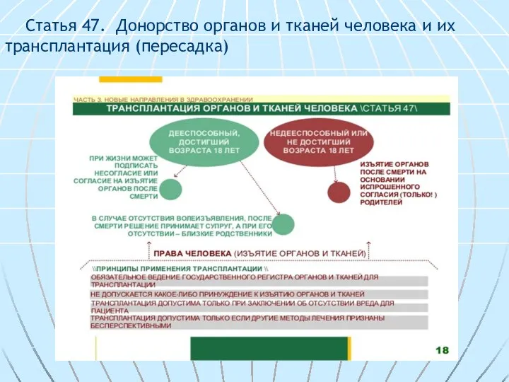 Статья 47. Донорство органов и тканей человека и их трансплантация (пересадка)