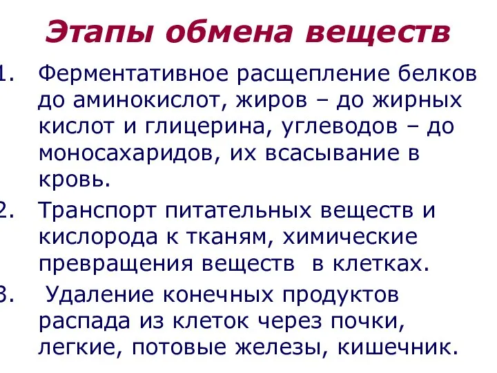 Этапы обмена веществ Ферментативное расщепление белков до аминокислот, жиров – до