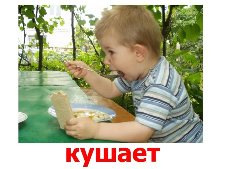 кушает